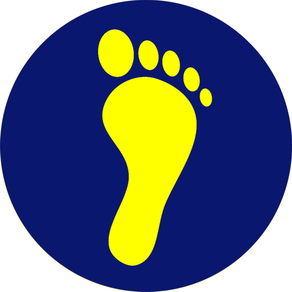 Step 5 – Reduce Your Digital Footprint: Driver Awareness Education